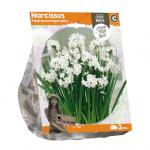 Baltus Narcissus Papyraceus bloembollen per 3 stuks